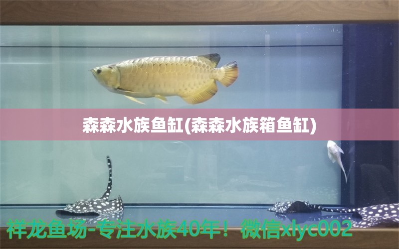 森森水族魚(yú)缸(森森水族箱魚(yú)缸) 魚(yú)缸/水族箱