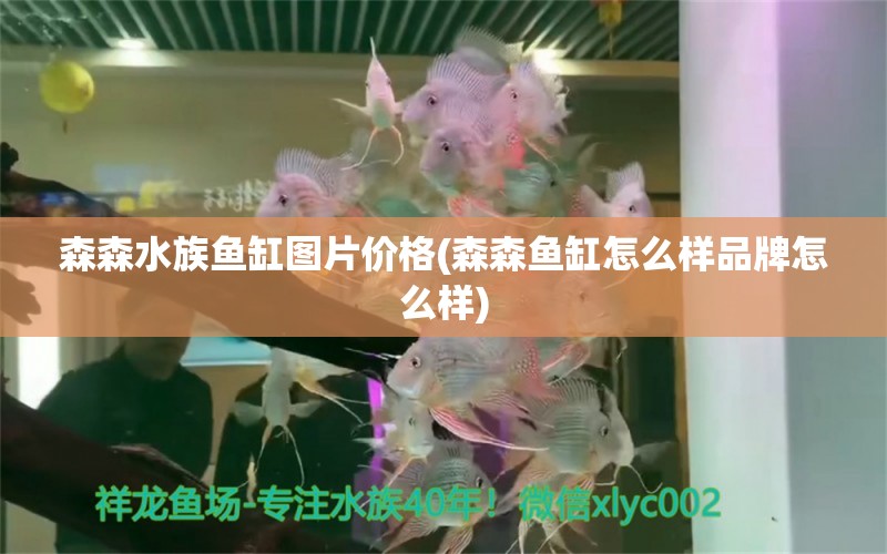 森森水族魚缸圖片價(jià)格(森森魚缸怎么樣品牌怎么樣)