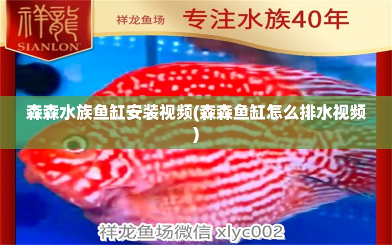 森森水族魚缸安裝視頻(森森魚缸怎么排水視頻) 印尼紅龍魚