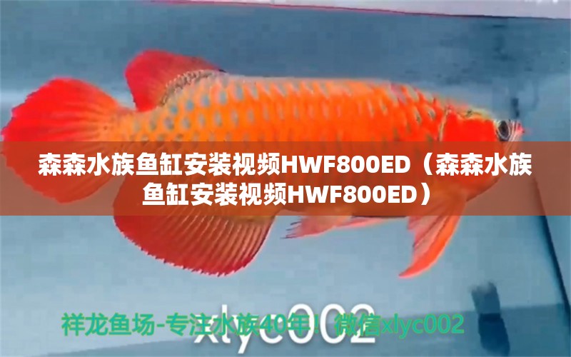 森森水族魚缸安裝視頻HWF800ED（森森水族魚缸安裝視頻HWF800ED）