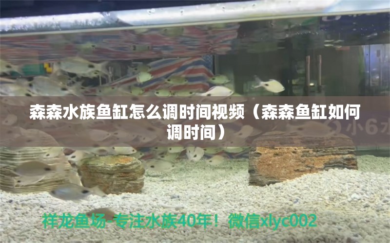 森森水族魚缸怎么調(diào)時間視頻（森森魚缸如何調(diào)時間） 過濾設(shè)備