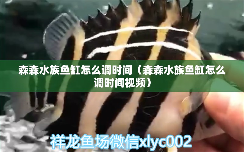 森森水族魚缸怎么調(diào)時間（森森水族魚缸怎么調(diào)時間視頻） 過濾設(shè)備