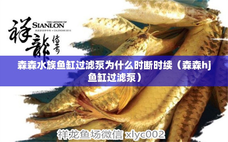 森森水族魚缸過濾泵為什么時(shí)斷時(shí)續(xù)（森森h(huán)j魚缸過濾泵） 過濾設(shè)備