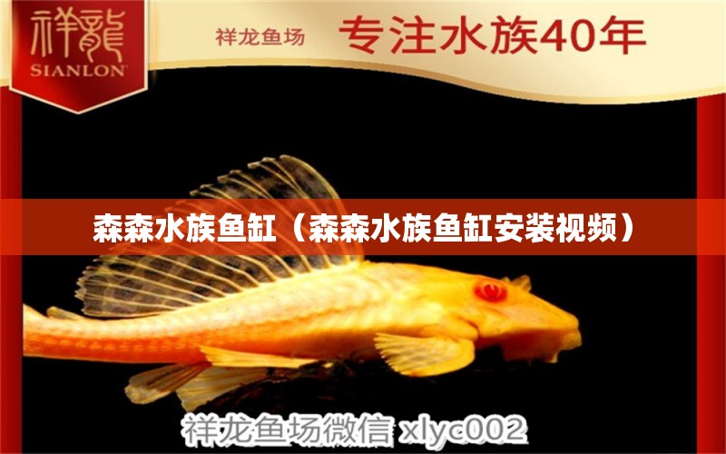 森森水族魚缸（森森水族魚缸安裝視頻） 其他品牌魚缸