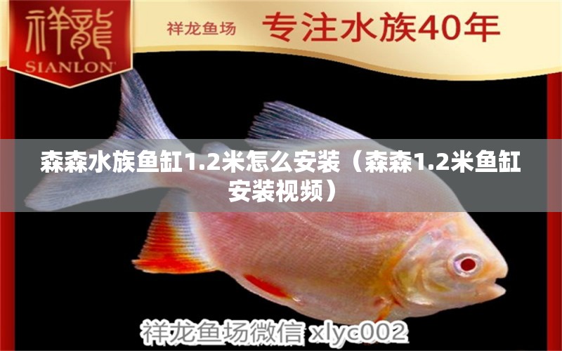 森森水族魚缸1.2米怎么安裝（森森1.2米魚缸安裝視頻） 過濾設(shè)備