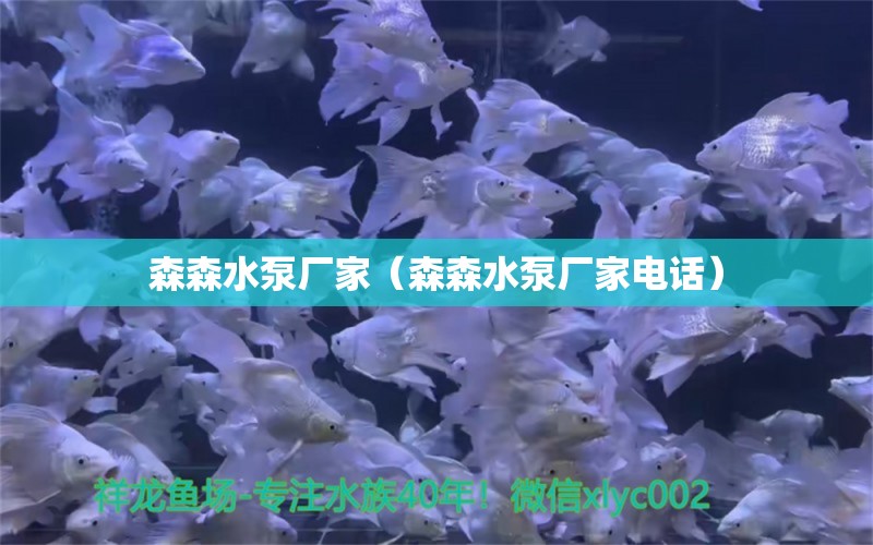 森森水泵廠家（森森水泵廠家電話）