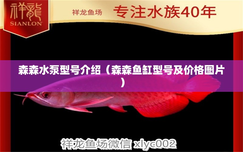 森森水泵型號(hào)介紹（森森魚缸型號(hào)及價(jià)格圖片） 森森魚缸