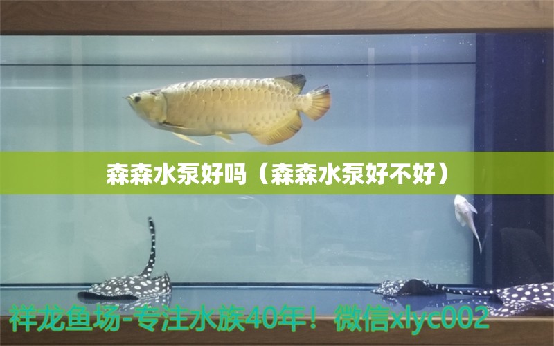 森森水泵好嗎（森森水泵好不好）