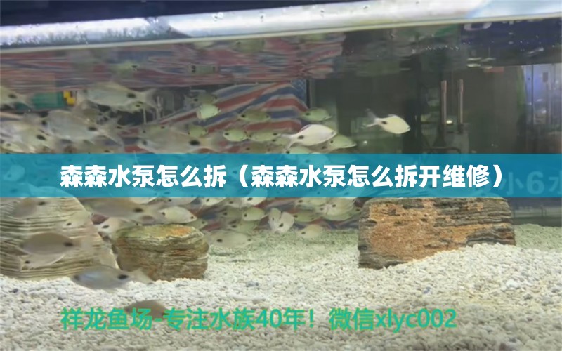 森森水泵怎么拆（森森水泵怎么拆開維修） 過濾設備