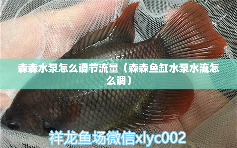 森森水泵怎么調(diào)節(jié)流量（森森魚缸水泵水流怎么調(diào)） 魚缸水泵