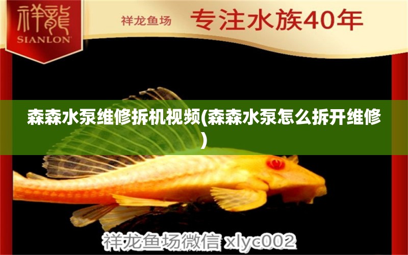 森森水泵維修拆機視頻(森森水泵怎么拆開維修) 水族燈（魚缸燈）