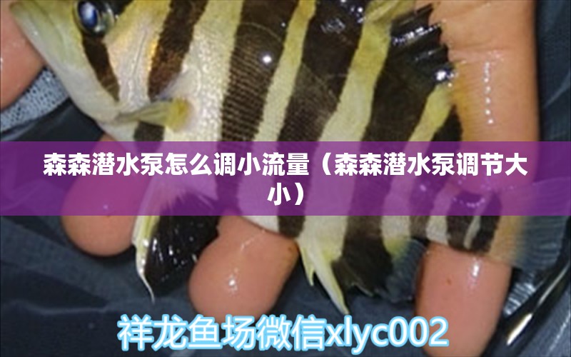 森森潛水泵怎么調(diào)小流量（森森潛水泵調(diào)節(jié)大?。?祥龍魚場(chǎng)