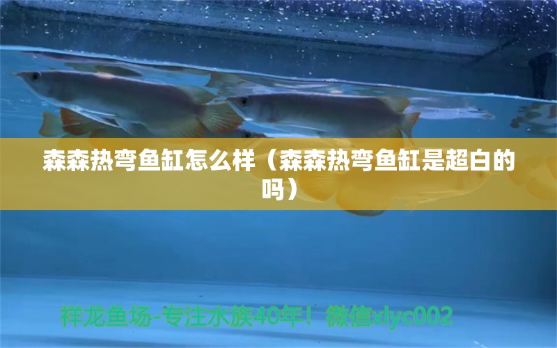 森森熱彎魚缸怎么樣（森森熱彎魚缸是超白的嗎）