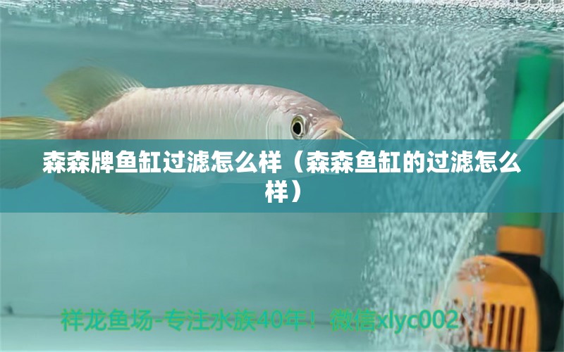 森森牌魚缸過濾怎么樣（森森魚缸的過濾怎么樣） 森森魚缸