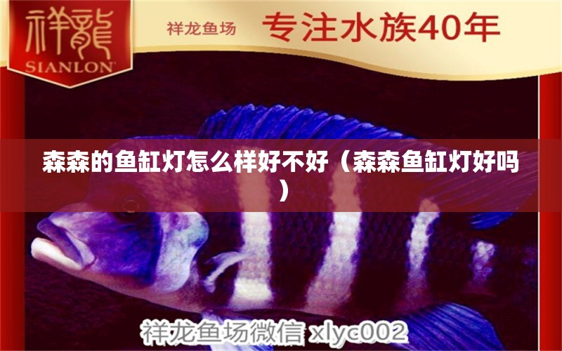 森森的魚缸燈怎么樣好不好（森森魚缸燈好嗎）