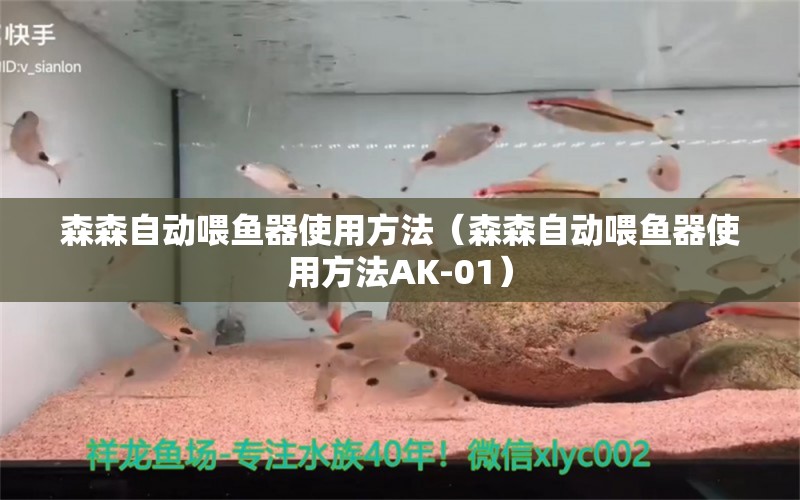 森森自動喂魚器使用方法（森森自動喂魚器使用方法AK-01） 森森魚缸