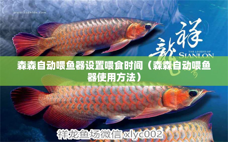 森森自動喂魚器設(shè)置喂食時間（森森自動喂魚器使用方法）