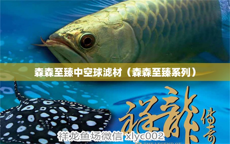 森森至臻中空球濾材（森森至臻系列） 森森魚缸