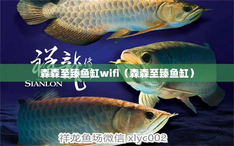 森森至臻魚缸wifi（森森至臻魚缸）