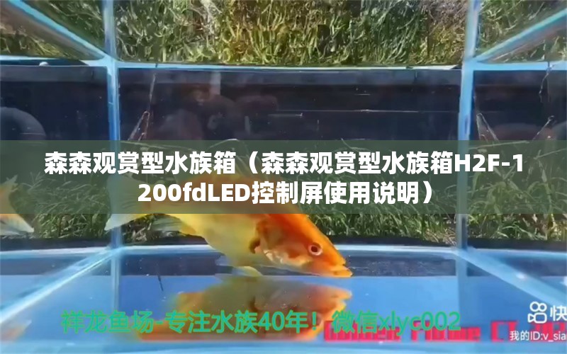 森森觀賞型水族箱（森森觀賞型水族箱H2F-1200fdLED控制屏使用說明）