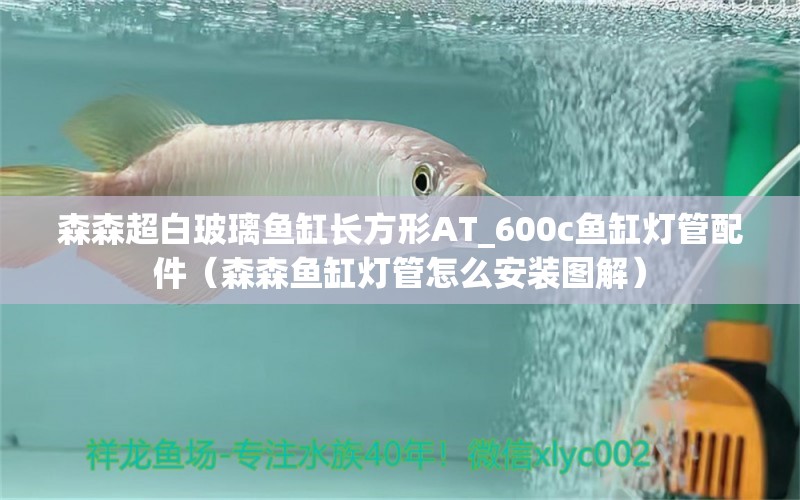 森森超白玻璃魚(yú)缸長(zhǎng)方形AT_600c魚(yú)缸燈管配件（森森魚(yú)缸燈管怎么安裝圖解）