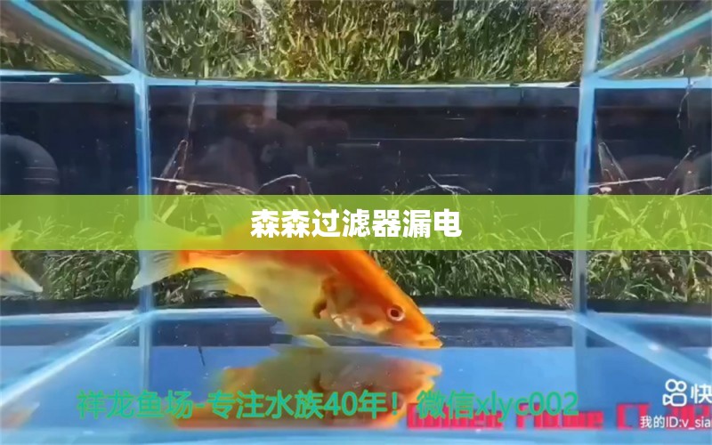 森森過濾器漏電 森森魚缸 第2張