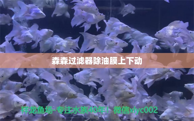 森森過濾器除油膜上下動 森森魚缸 第2張