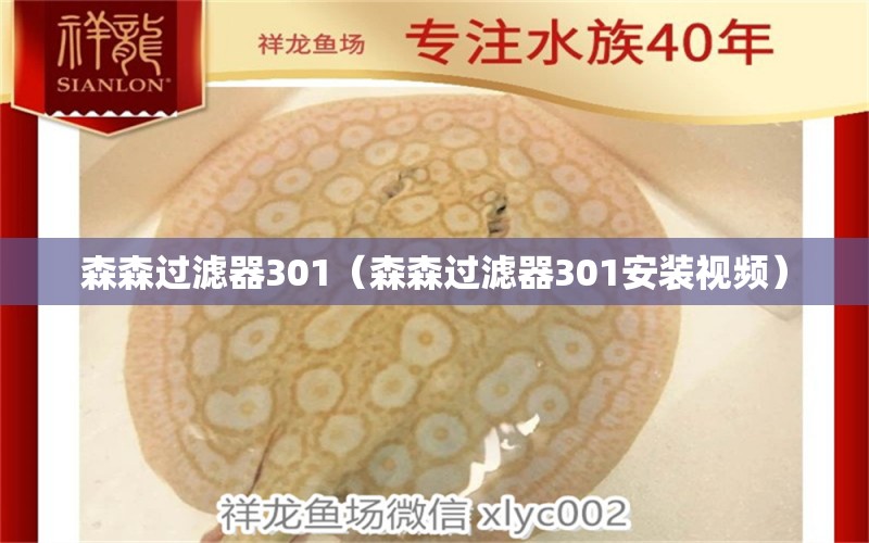 森森過濾器301（森森過濾器301安裝視頻）