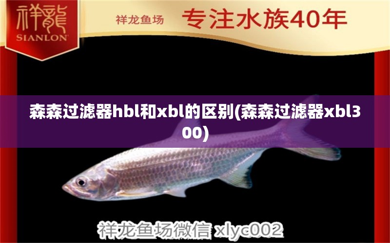 森森過濾器hbl和xbl的區(qū)別(森森過濾器xbl300) 銀龍魚