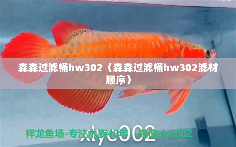 森森過濾桶hw302（森森過濾桶hw302濾材順序）