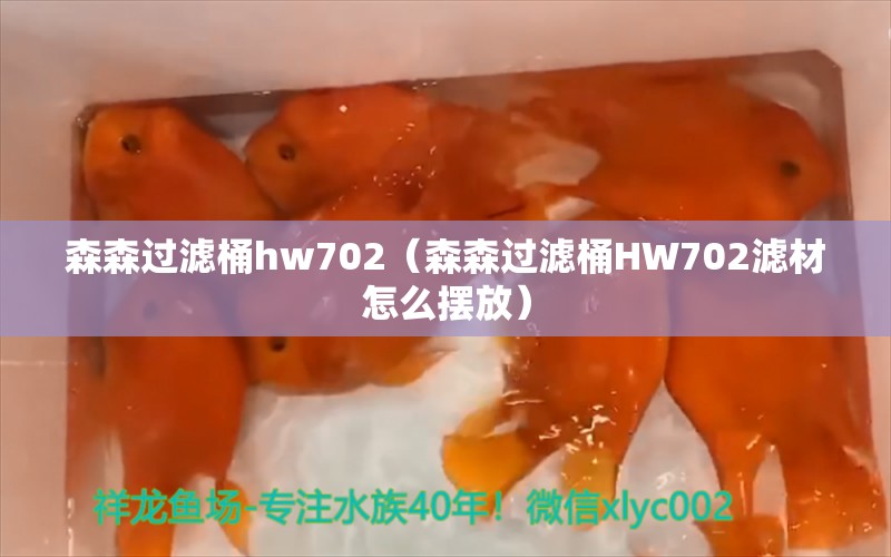 森森過濾桶hw702（森森過濾桶HW702濾材怎么擺放） 森森魚缸