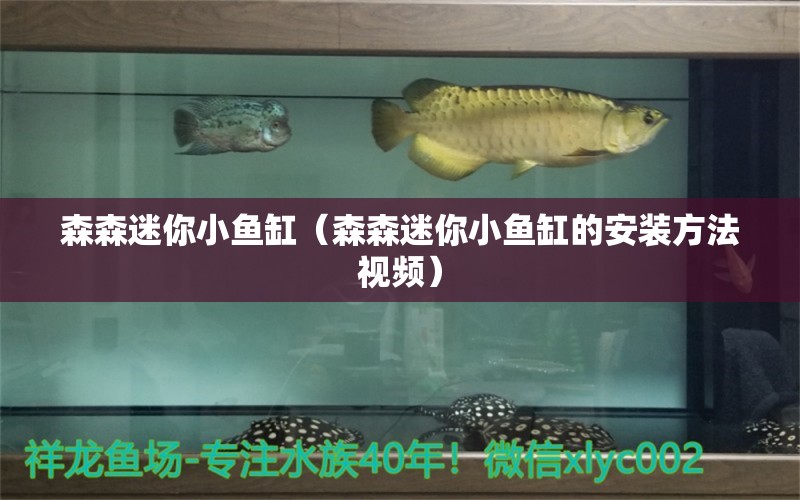 森森迷你小魚(yú)缸（森森迷你小魚(yú)缸的安裝方法視頻） 森森魚(yú)缸