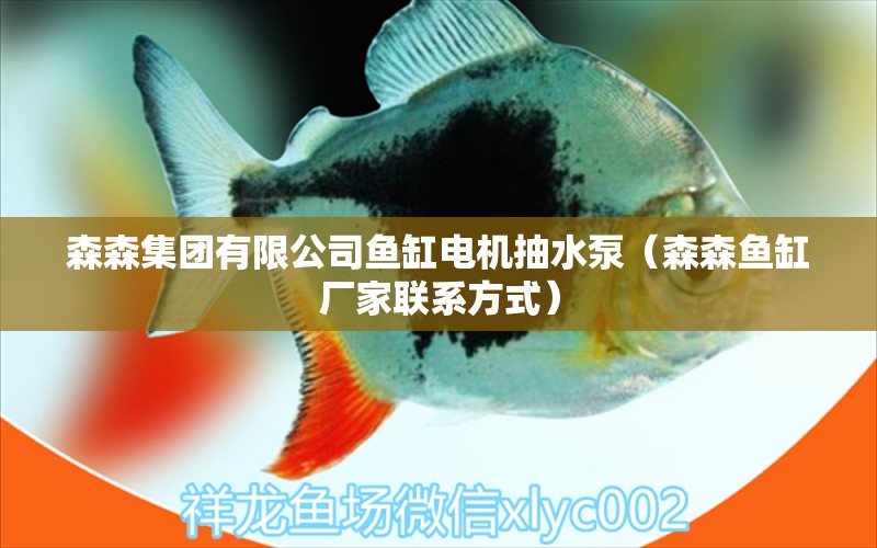 森森集團有限公司魚缸電機抽水泵（森森魚缸廠家聯(lián)系方式）