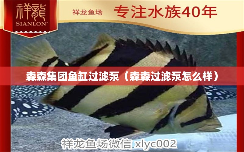 森森集團魚缸過濾泵（森森過濾泵怎么樣）