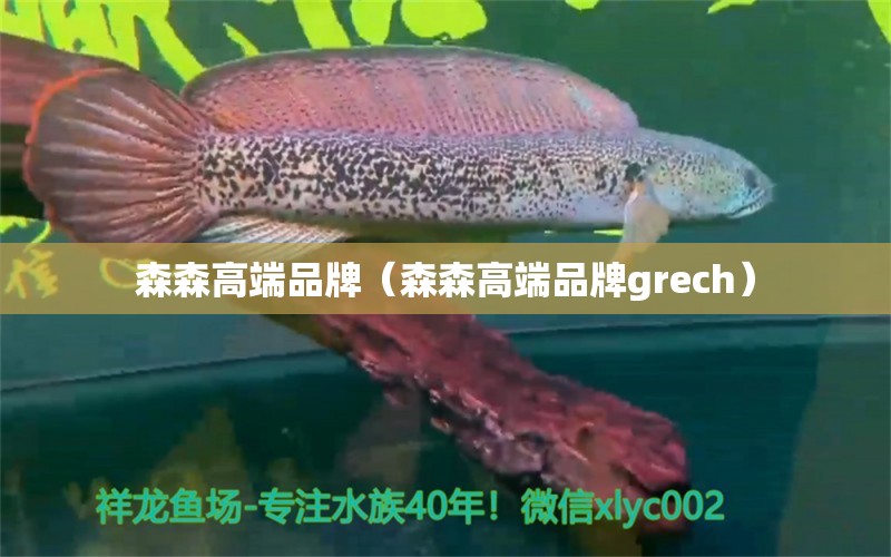 森森高端品牌（森森高端品牌grech） 森森魚缸