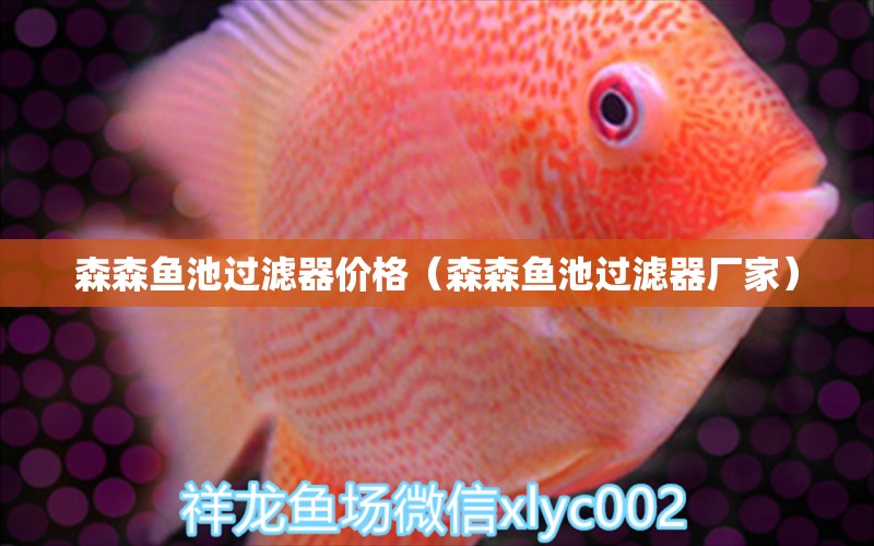 森森魚池過濾器價格（森森魚池過濾器廠家）