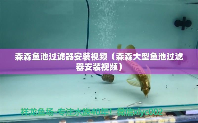 森森魚池過濾器安裝視頻（森森大型魚池過濾器安裝視頻） 過濾設備