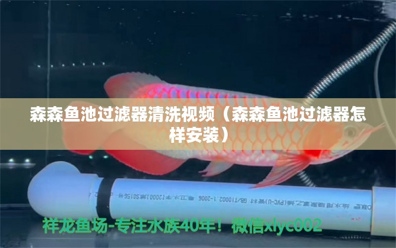 森森魚池過濾器清洗視頻（森森魚池過濾器怎樣安裝）