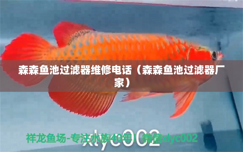 森森魚池過濾器維修電話（森森魚池過濾器廠家） 過濾設(shè)備