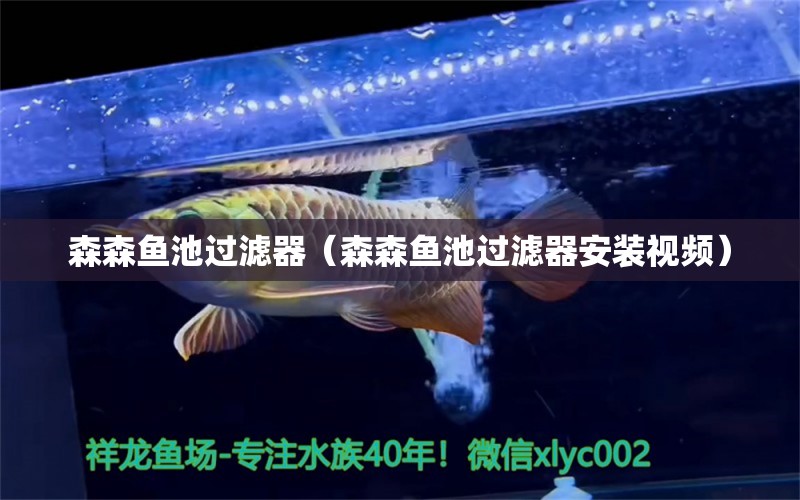 森森魚池過濾器（森森魚池過濾器安裝視頻）