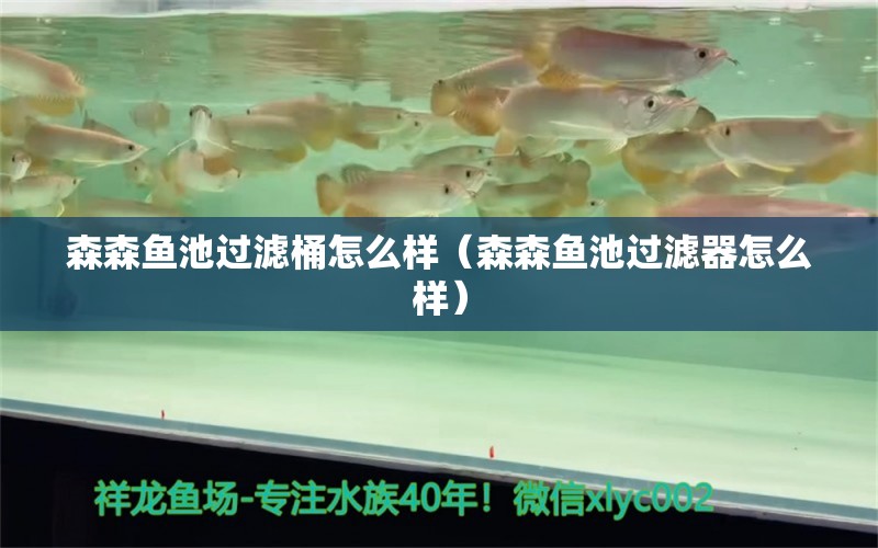 森森魚池過濾桶怎么樣（森森魚池過濾器怎么樣） 森森魚缸