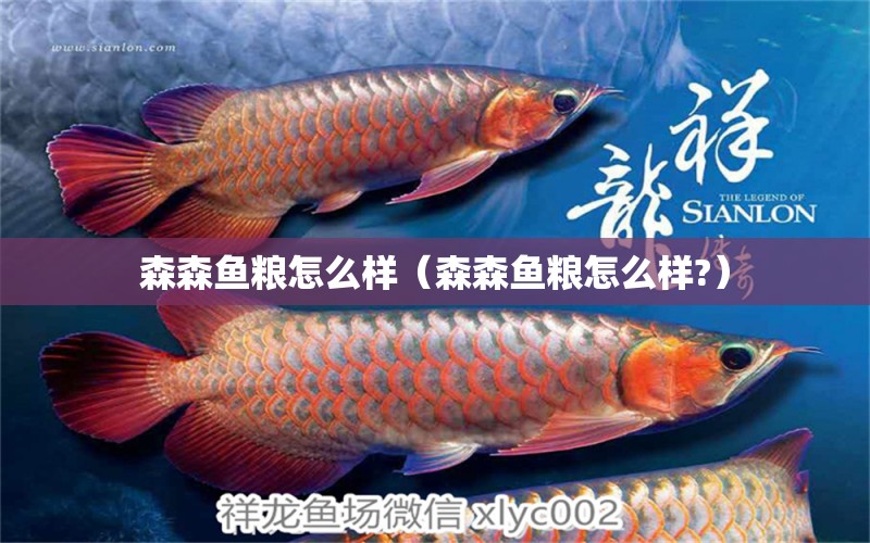 森森魚糧怎么樣（森森魚糧怎么樣?）