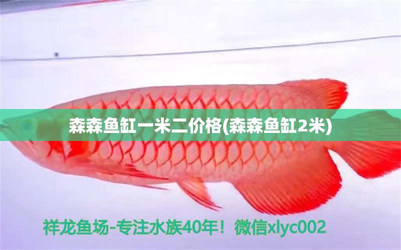 森森魚缸一米二價(jià)格(森森魚缸2米)