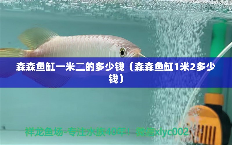 森森魚缸一米二的多少錢（森森魚缸1米2多少錢）