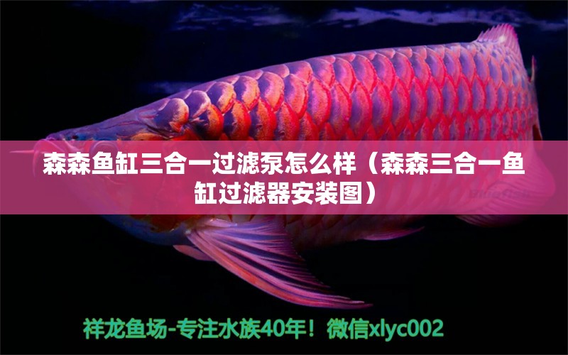 森森魚缸三合一過濾泵怎么樣（森森三合一魚缸過濾器安裝圖） 森森魚缸