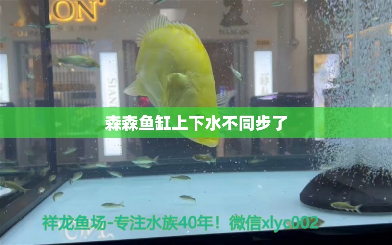 森森魚缸上下水不同步了 森森魚缸 第1張