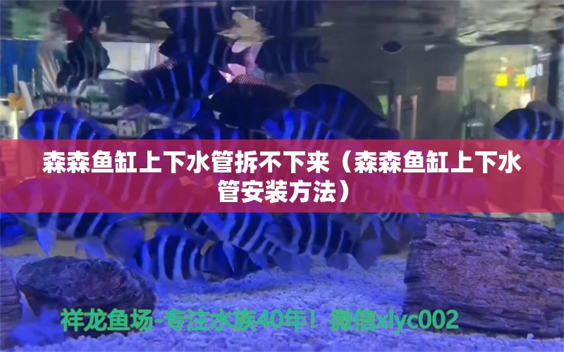 森森魚(yú)缸上下水管拆不下來(lái)（森森魚(yú)缸上下水管安裝方法）