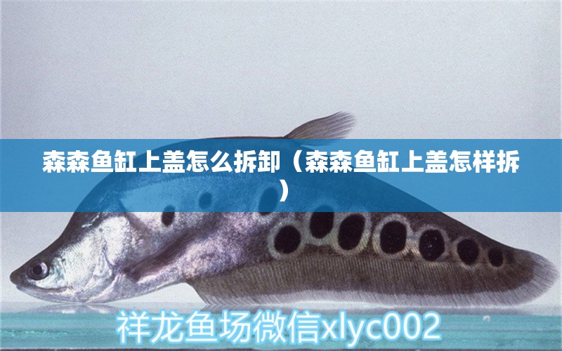 森森魚缸上蓋怎么拆卸（森森魚缸上蓋怎樣拆）