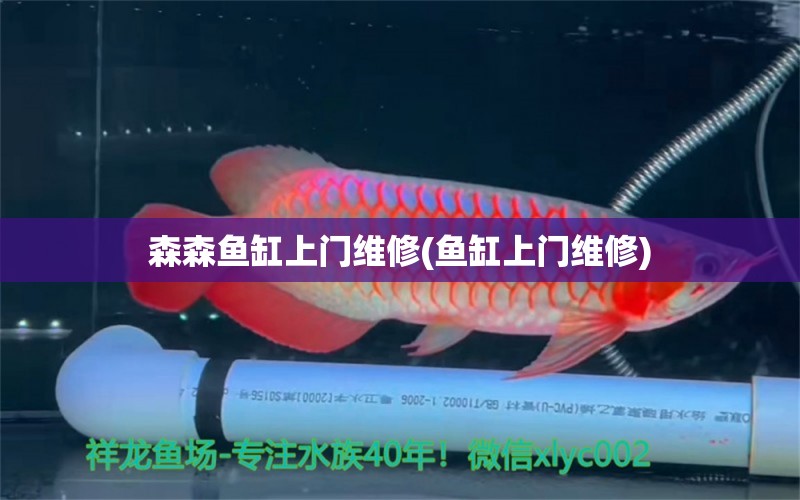 森森魚缸上門維修(魚缸上門維修)