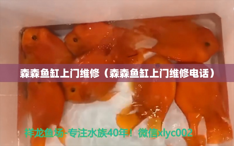 森森魚缸上門維修（森森魚缸上門維修電話）